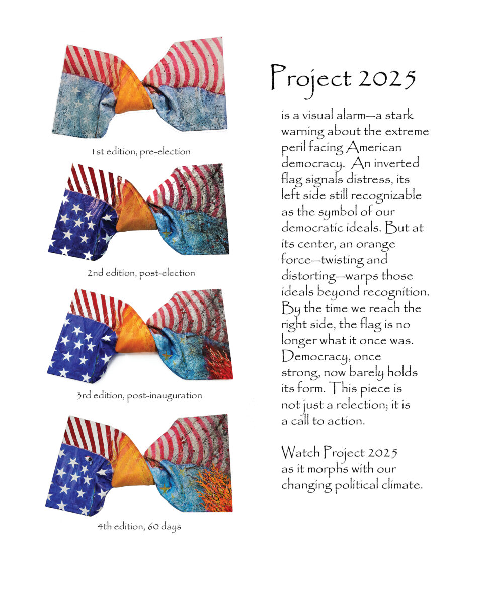 Project 2025 Storyboard